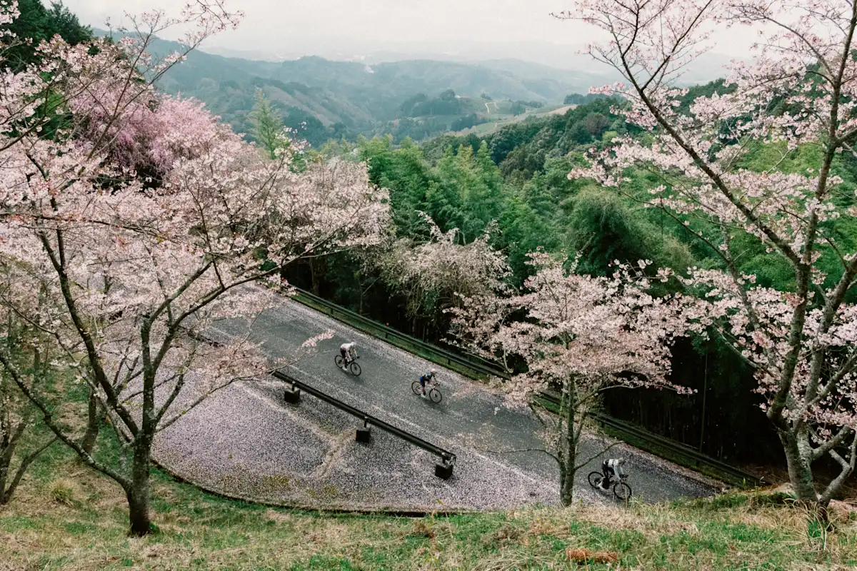 Asif Rcc RCC | Rapha